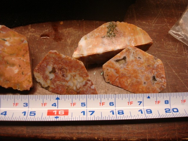 ocean jasper 9 pieces end cuts polished on the face
