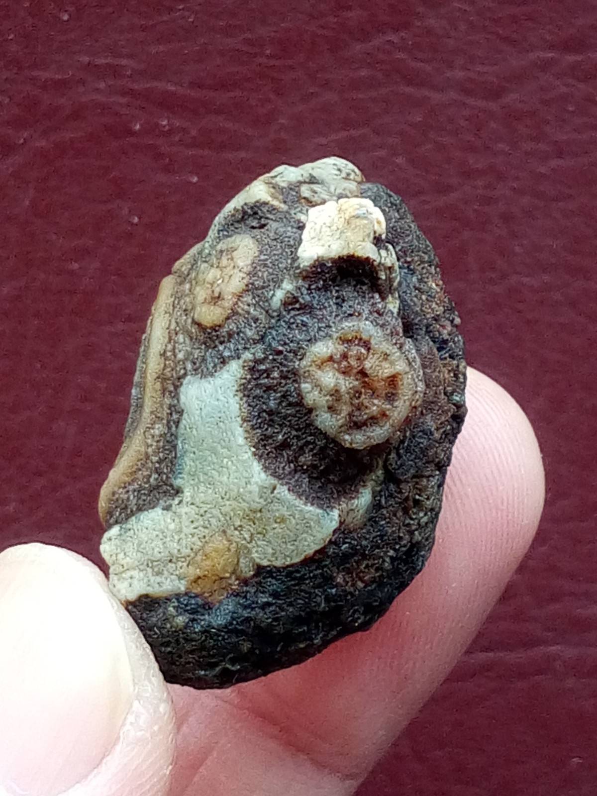 34mm Natural agate Gobi agate eye agate cute collection