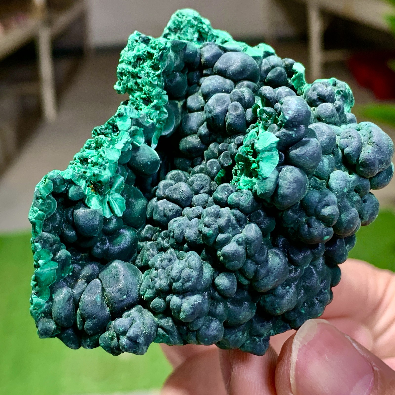 205G Natural glossy malachite cat eye transparent cluster rough mineral Sample