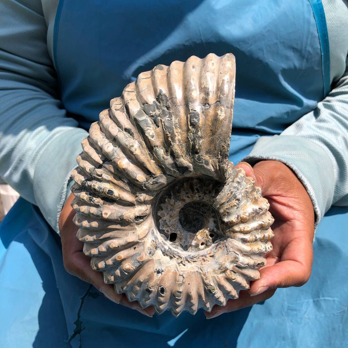 3.74LB Natural Beautiful Ammonite Fossil Conch Crystal Specimen Healing 5389