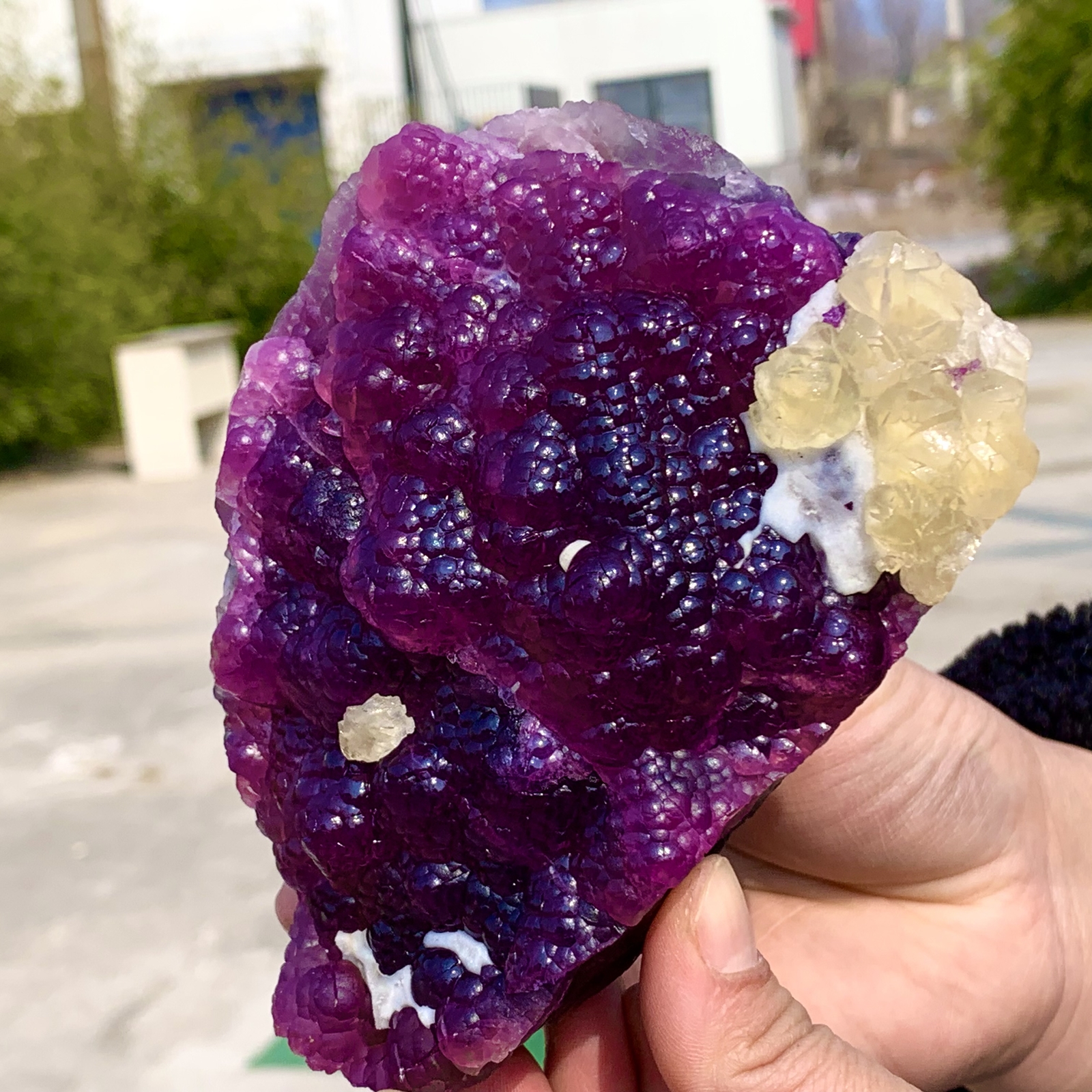 2.40LB Complete rare and gorgeous purple fluorite from Inner Mongolia, China