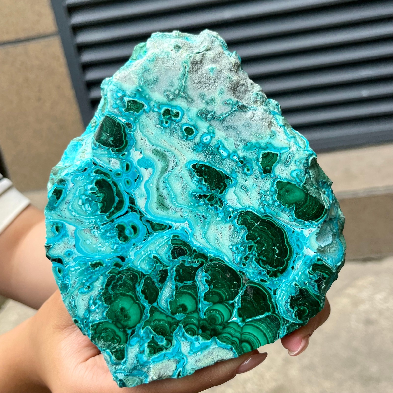 Natural Blue Green Chrysocolla Slice Polished Crystal Healing Stone 554 g