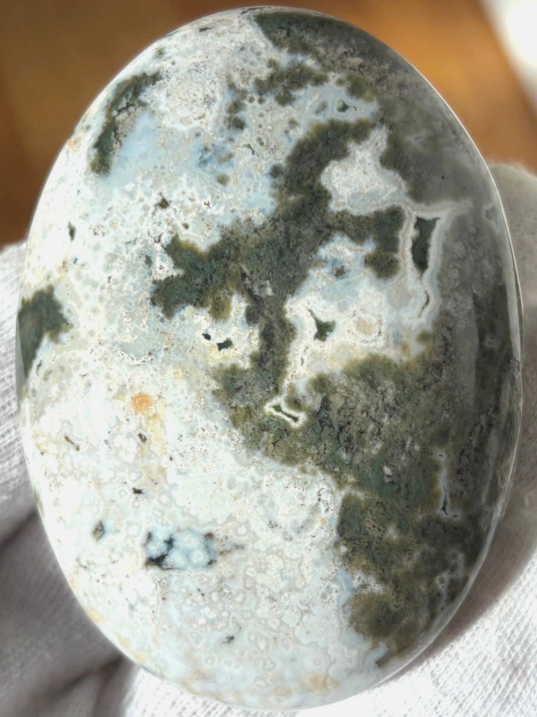 USA SALE 177g LOT OCEAN JASPER OJ PALMSTONES PALM STONE STONES PALMSTONE VIBRANT