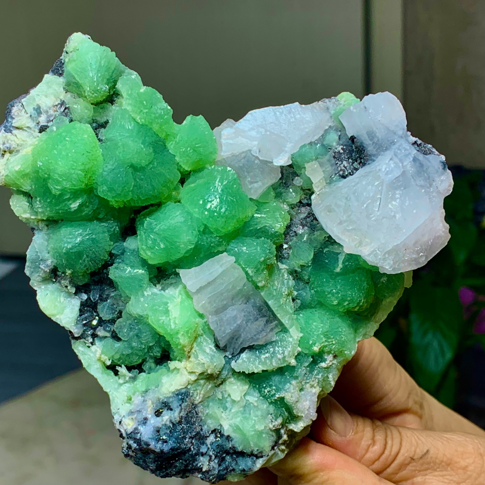 462G Natural beautiful spherical prehnite with calcite quartz crystal mineral
