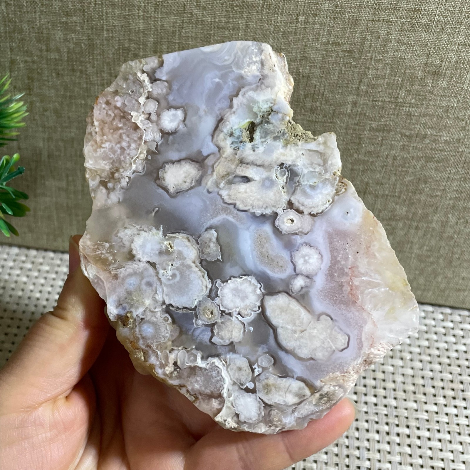 Sakura Agate Blossom Facet Rough Specimen Madagascar 310g g18