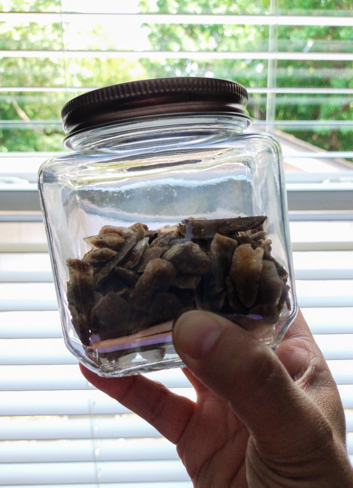 Brown Selenite Crystals Natural Shape from Salt Flat in Jar (glass jar included)