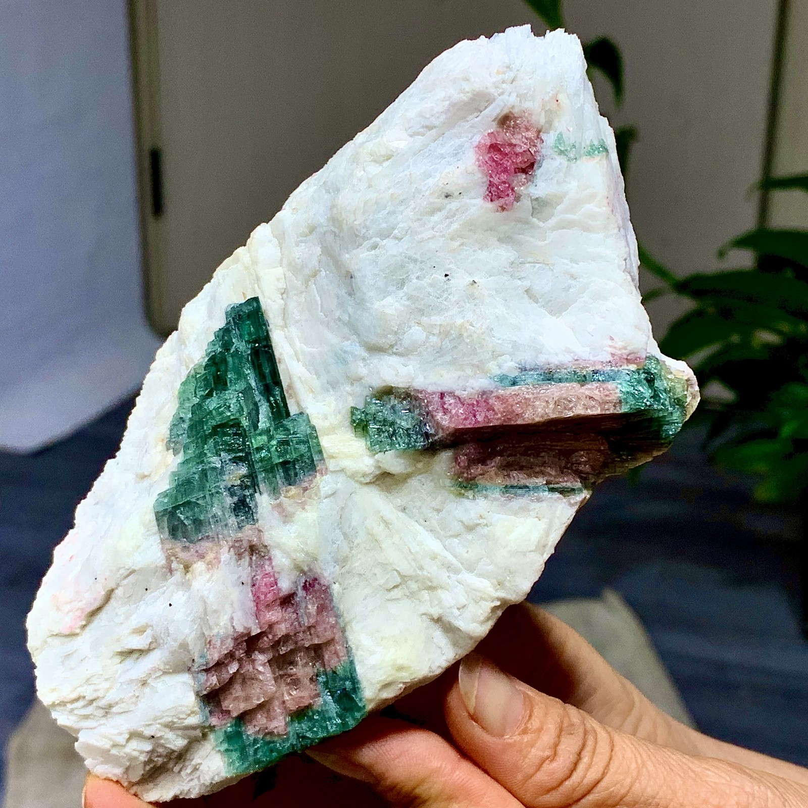 449G Natural pink-green tourmaline quartz crystal cluster mineral specimen