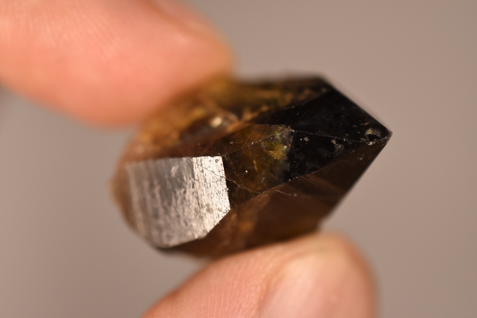 3 *AUSTRALIAN* SMOKEY QUARTZ 2-4cm 19g Natural Crystal Smoky New England NSW