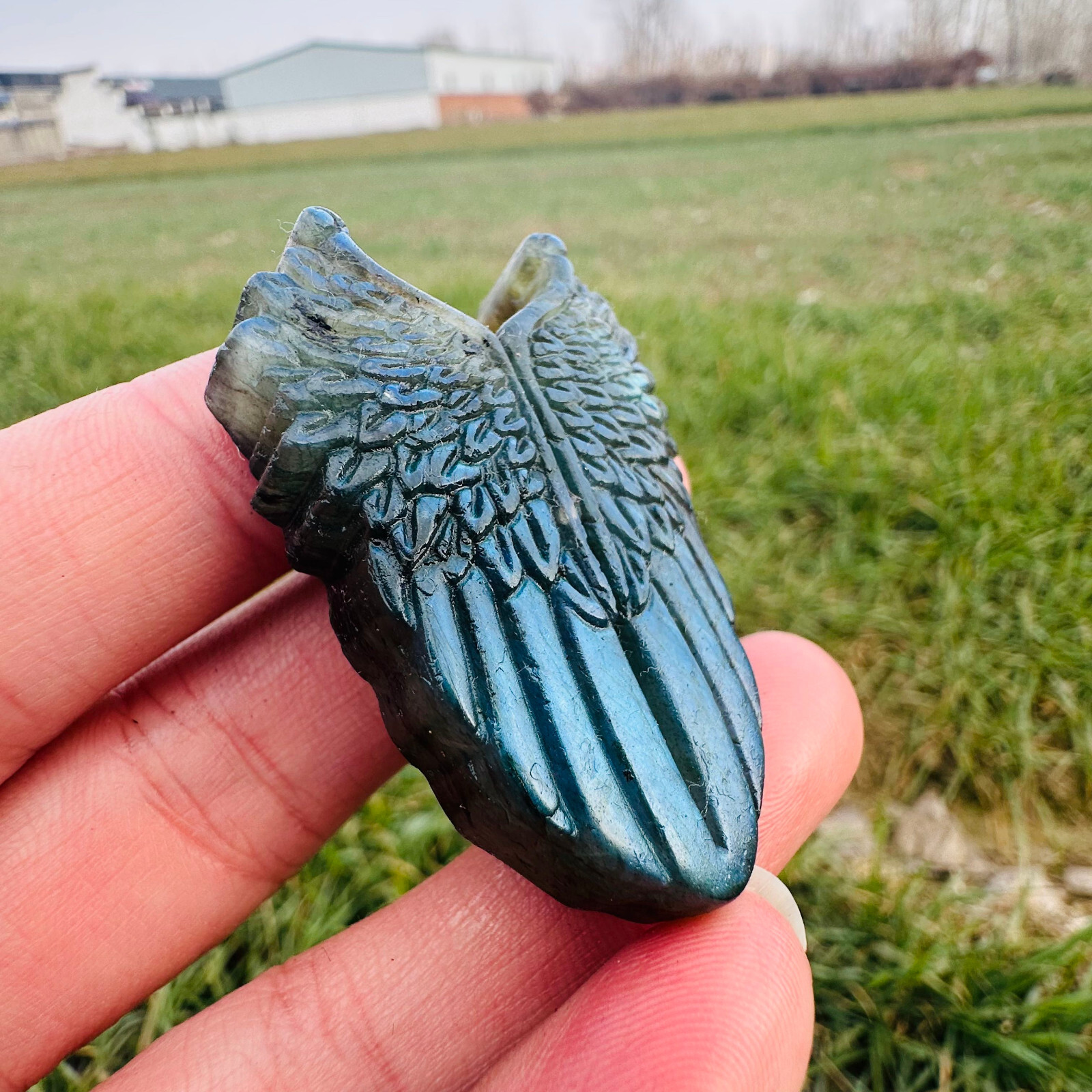 Natural Labradorite Carved Wing Quartz Skull Crystal Specimen Reiki Healing 1PC