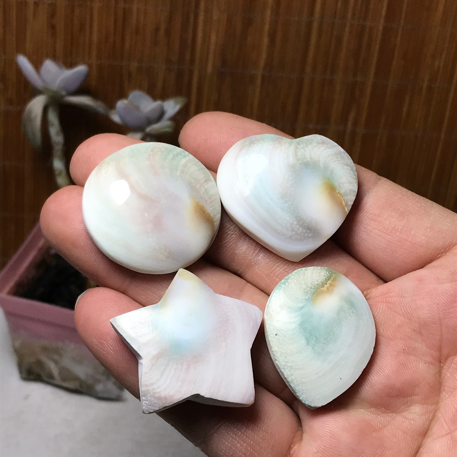 4Pcs Natural sun shell star Heart Reiki Shiva Eye ocean quartz carve A3334