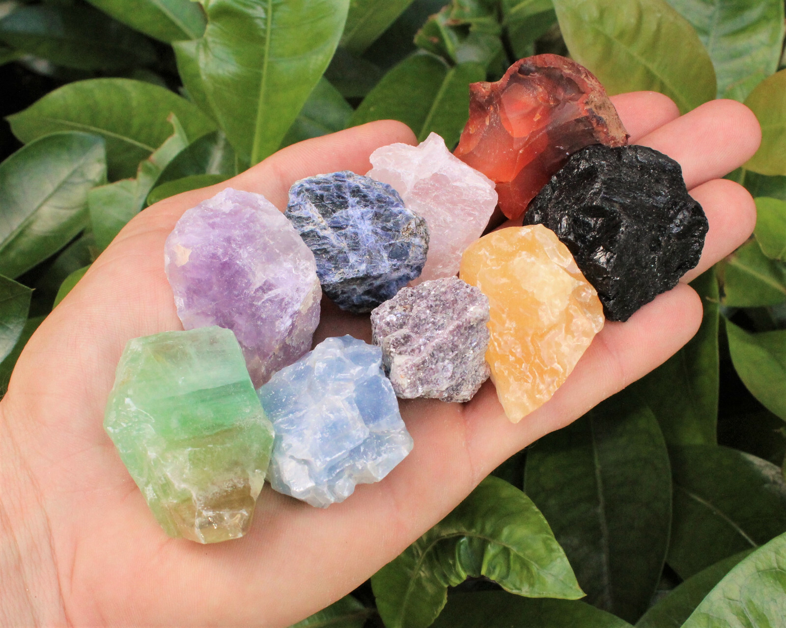 Mixed Rough Crystals: 9 Piece Starter Set, LARGE 1.5 – 2″