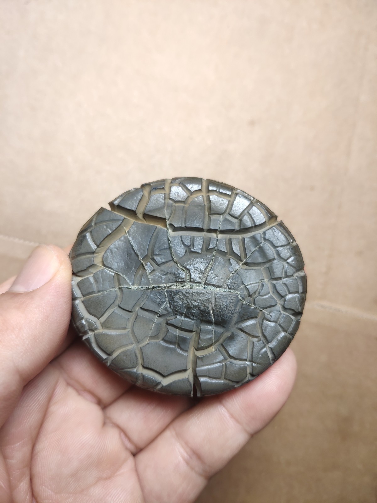136g beautiful Natural tortoise back pattern stone Landscape stone