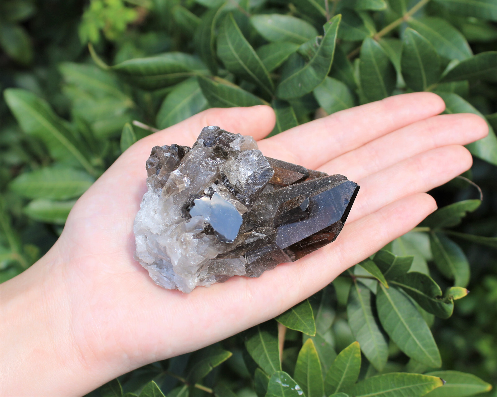 Smoky Quartz Crystal Clusters CLEARANCE Wholesale Lots (Smokey Quartz Cluster)