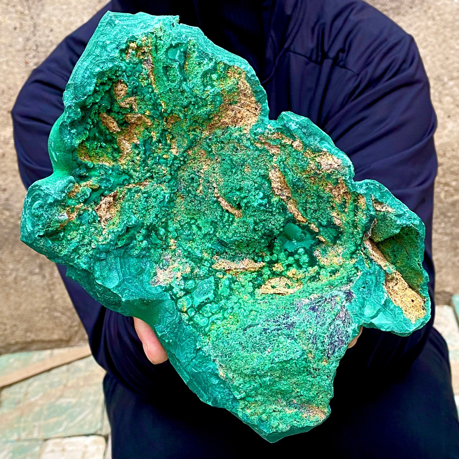 3.2LB Natural tortoise Malachite transparent cluster coarse mineral sample