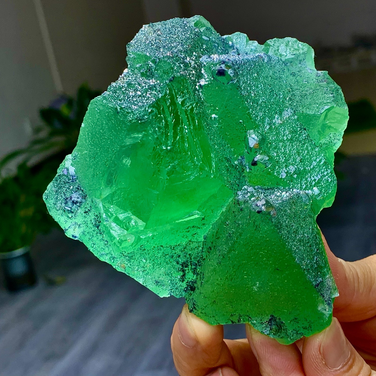 1.24LB Rare transparent green cubic Zhejiang fluorite mineral sample