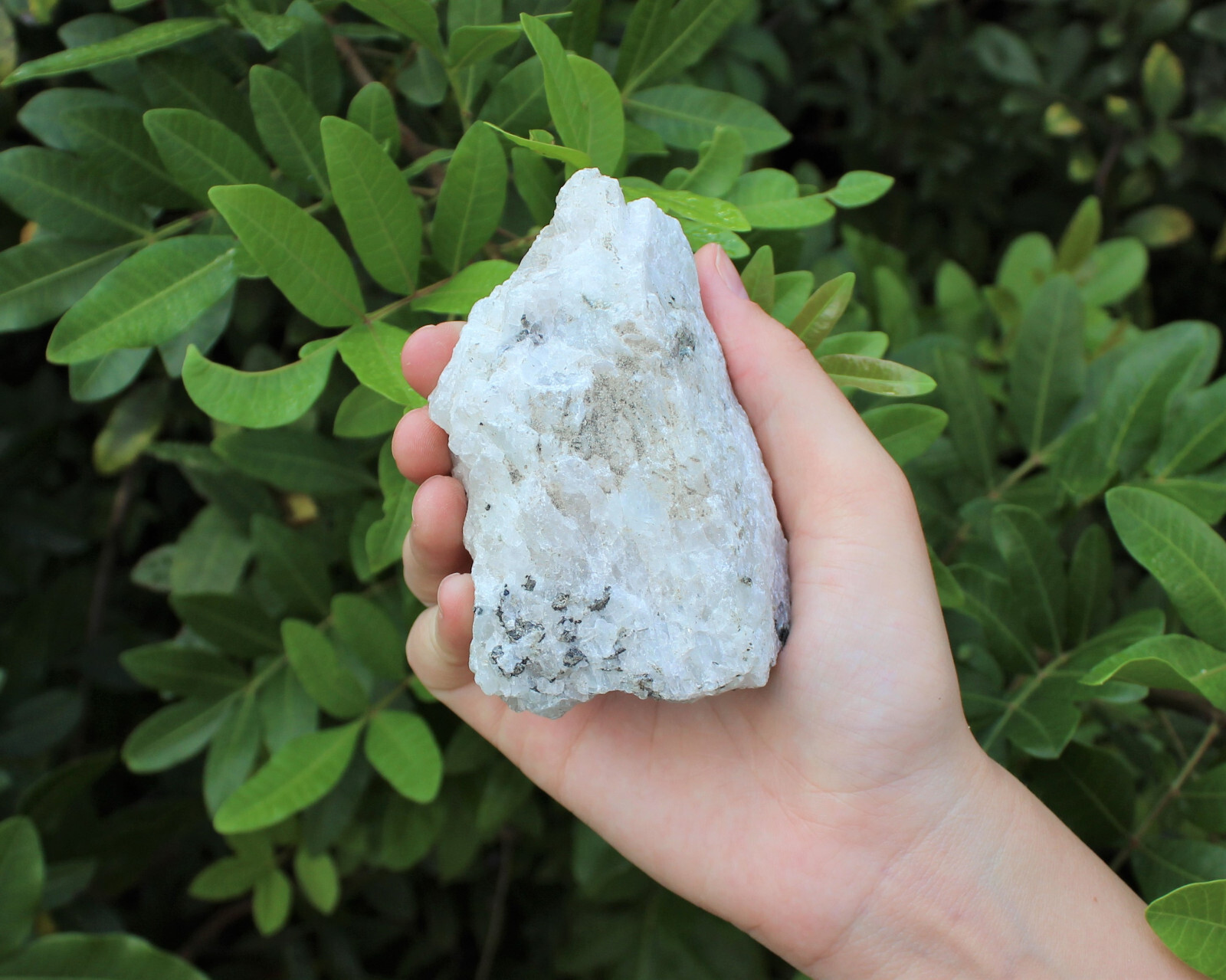 JUMBO Rainbow Moonstone Natural Raw Crystals – HUGE Rough Rainbow Moonstone