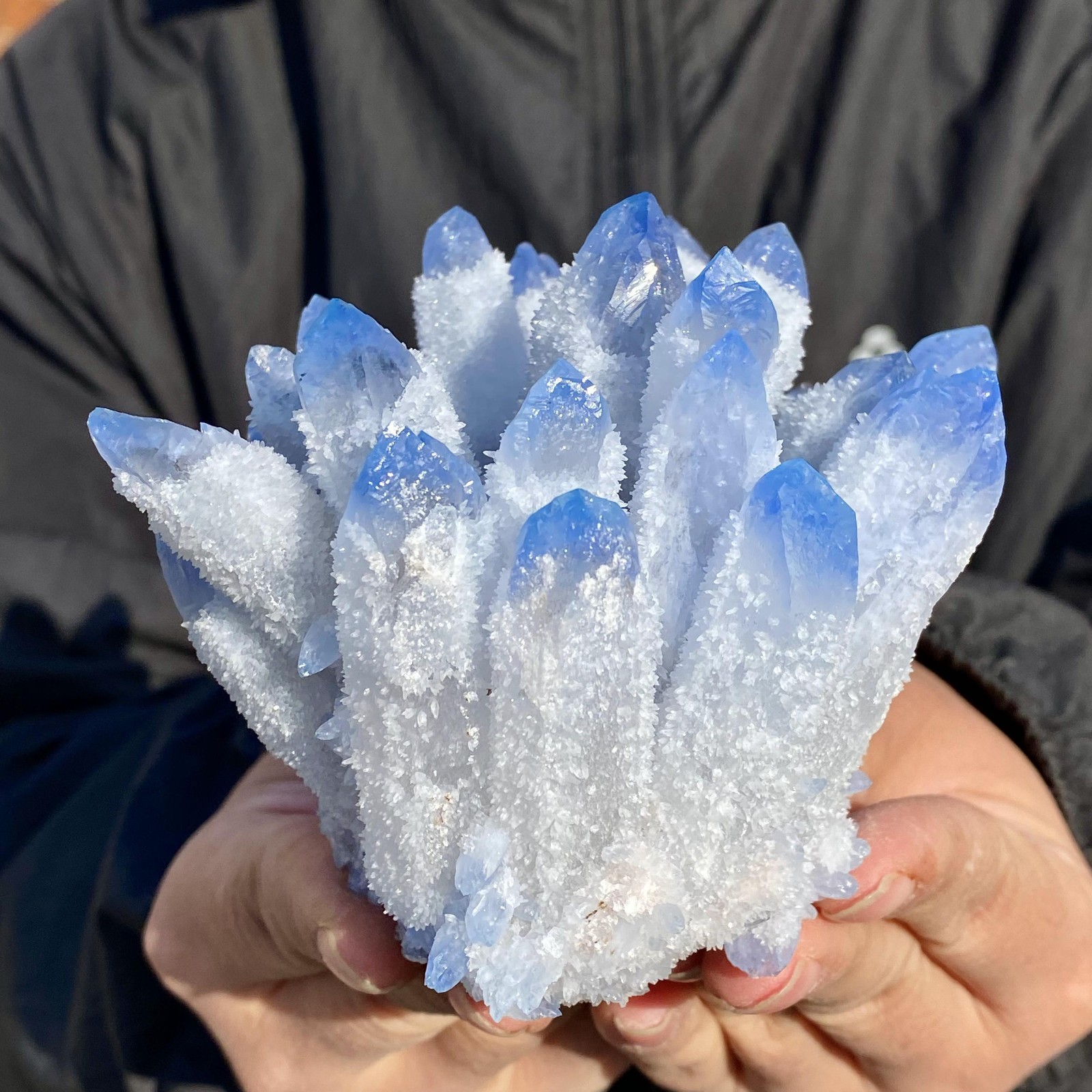 1.3LB New find sky blue phantom quartz crystal cluster mineral sample
