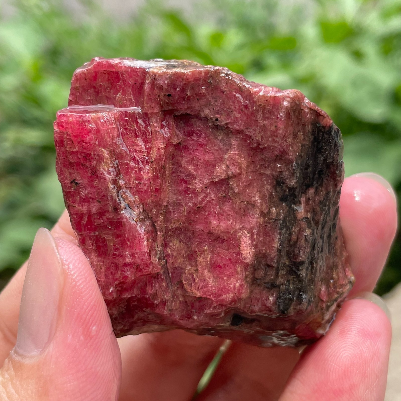 98g Small Raw Ore Red Black Rhodonite Quartz Gemstone Mineral Specimen