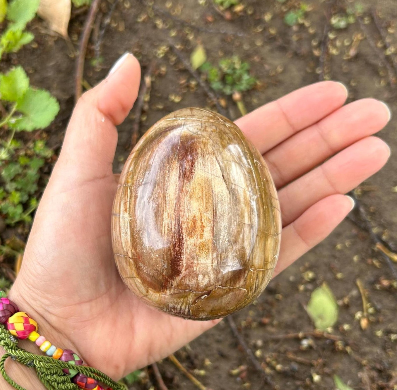 1.9″0.3lb Cute Natural Crystal Wood Fossil Egg Polished Quartz Home Office Decor