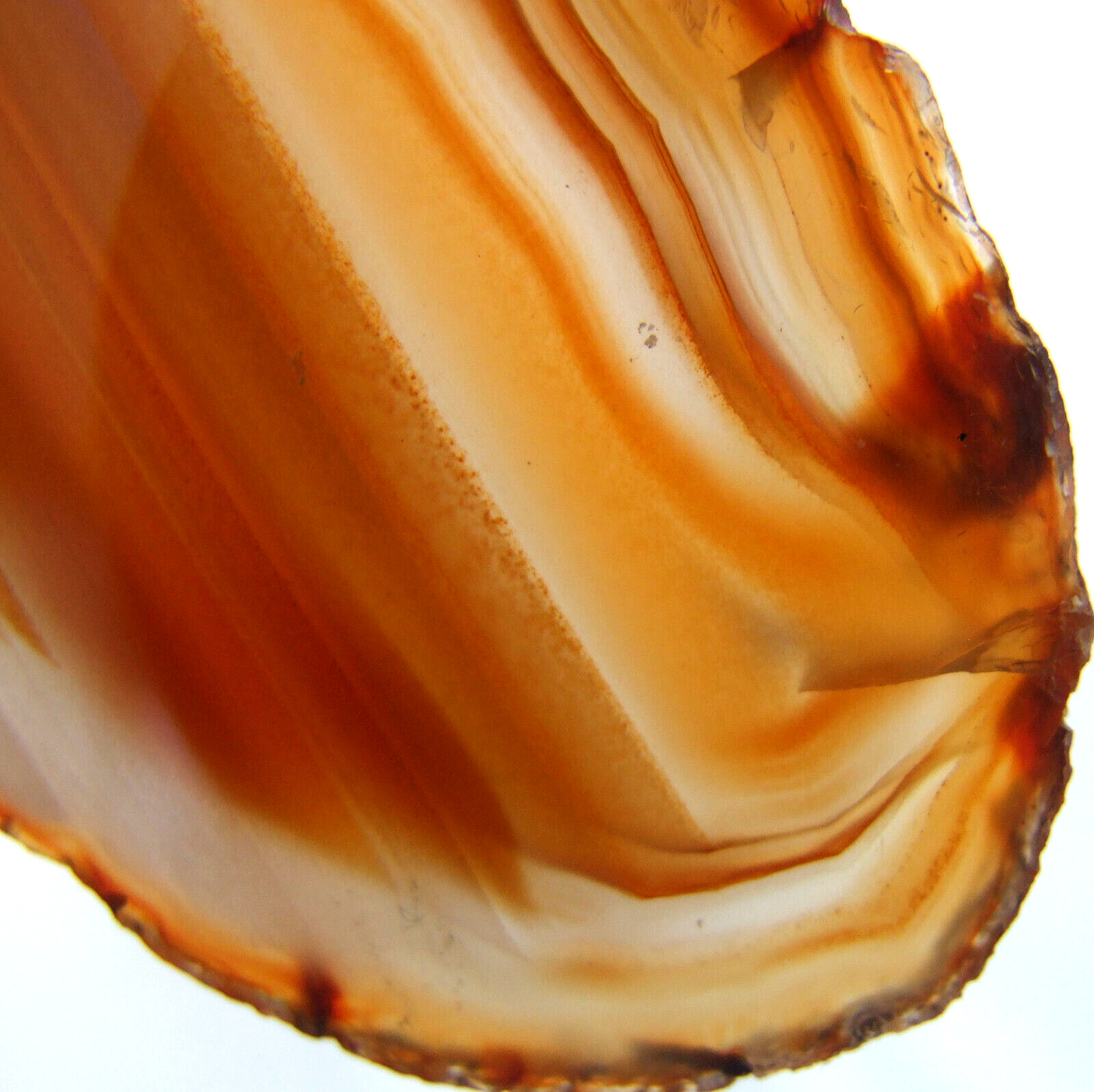 Natural Orange Agate Slice Polished Banded Geode Slice 11.5cm x 4.5cm