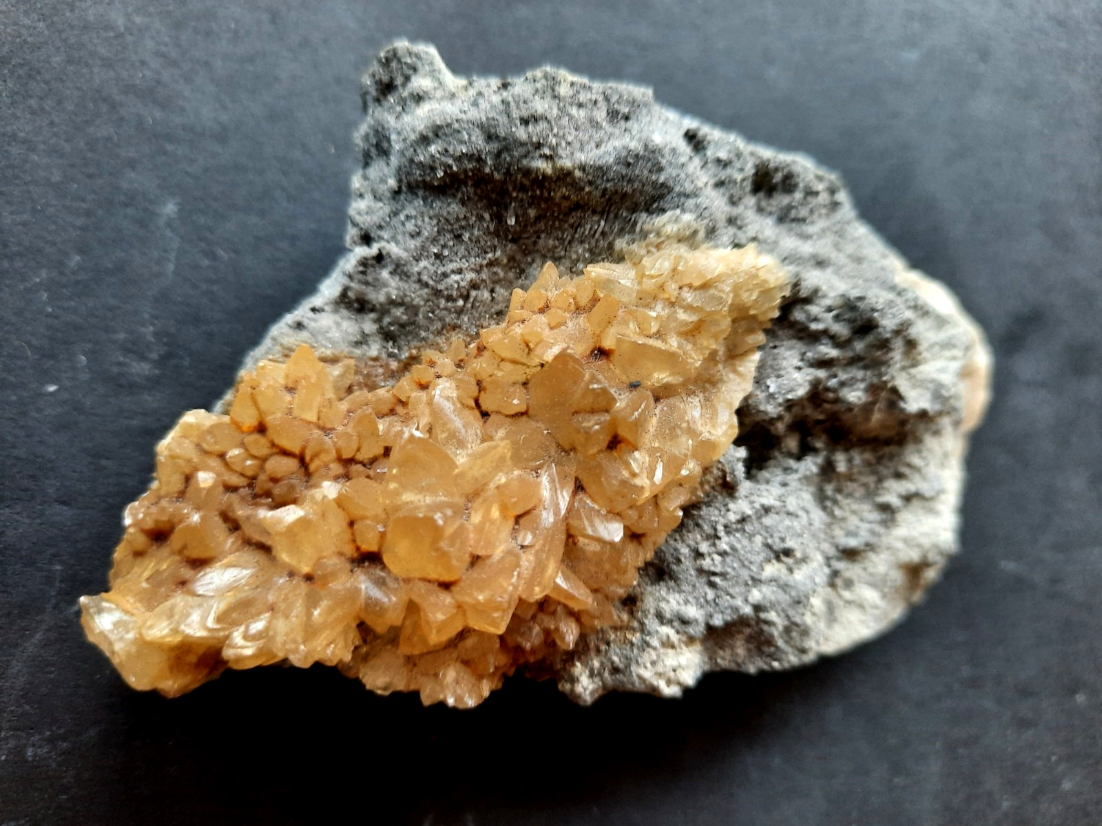 Golden Yellow Honey Calcite Crystals on Fossil Mangrove Clam Shell Rucks Pit