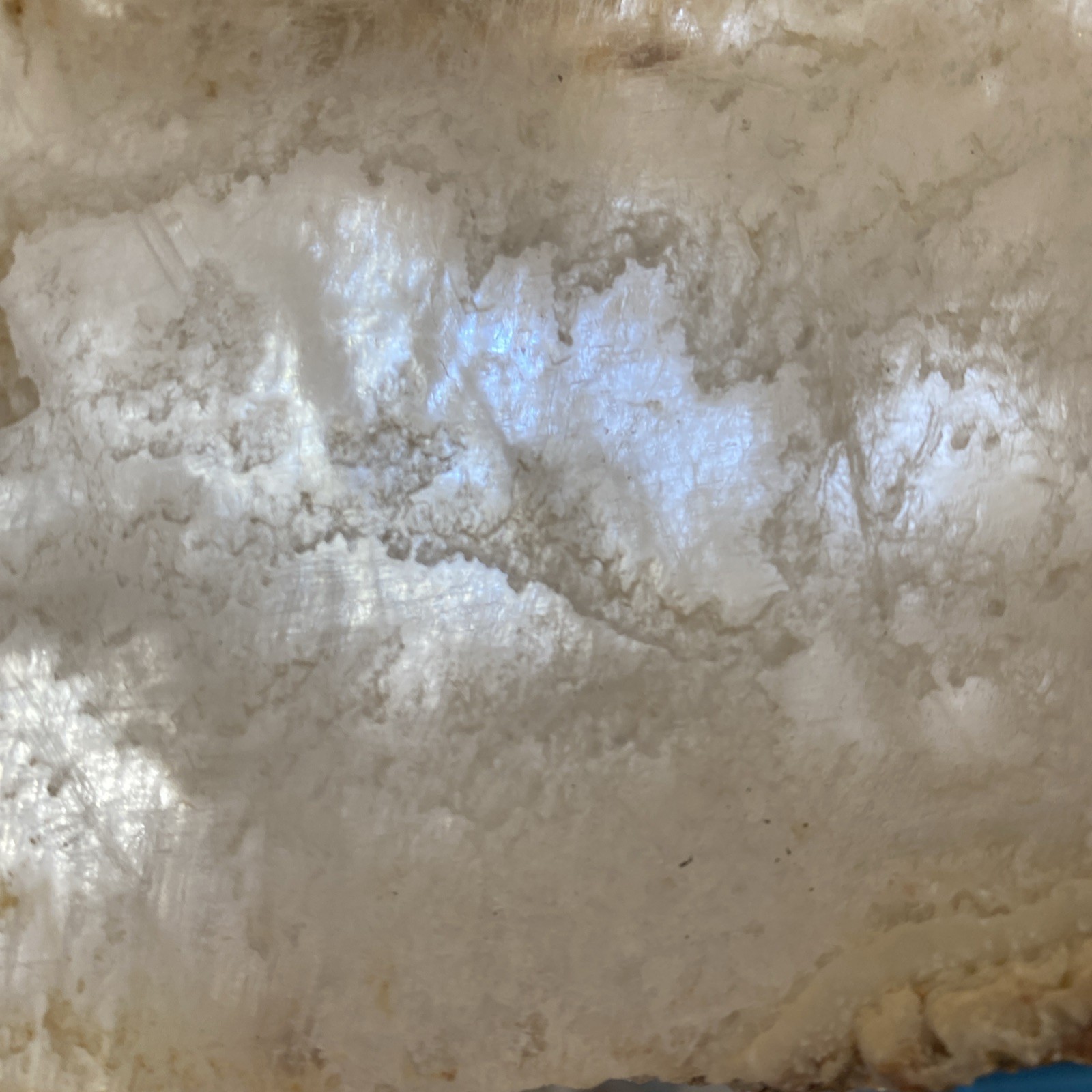 Natural selenite slab 10 inches long very soft Labeled As Selenite