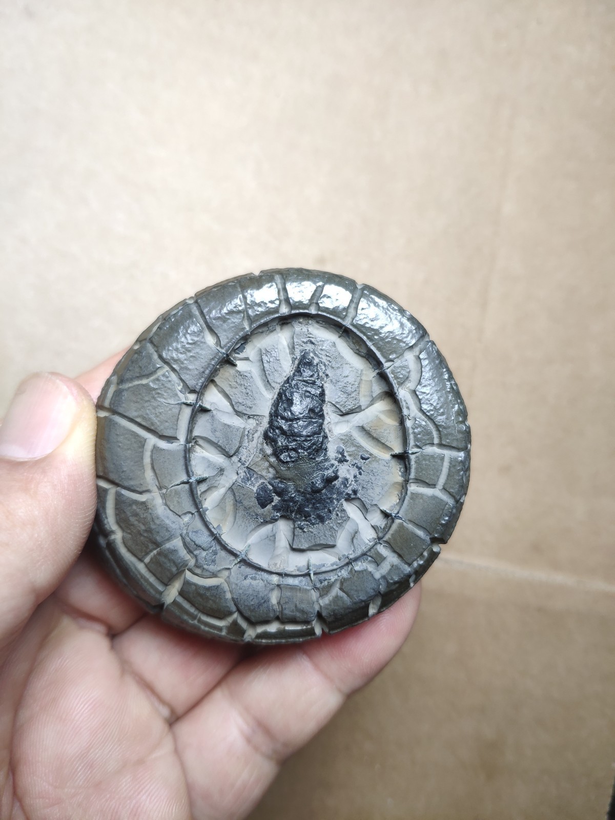 156g beautiful Natural tortoise back pattern stone Landscape stone