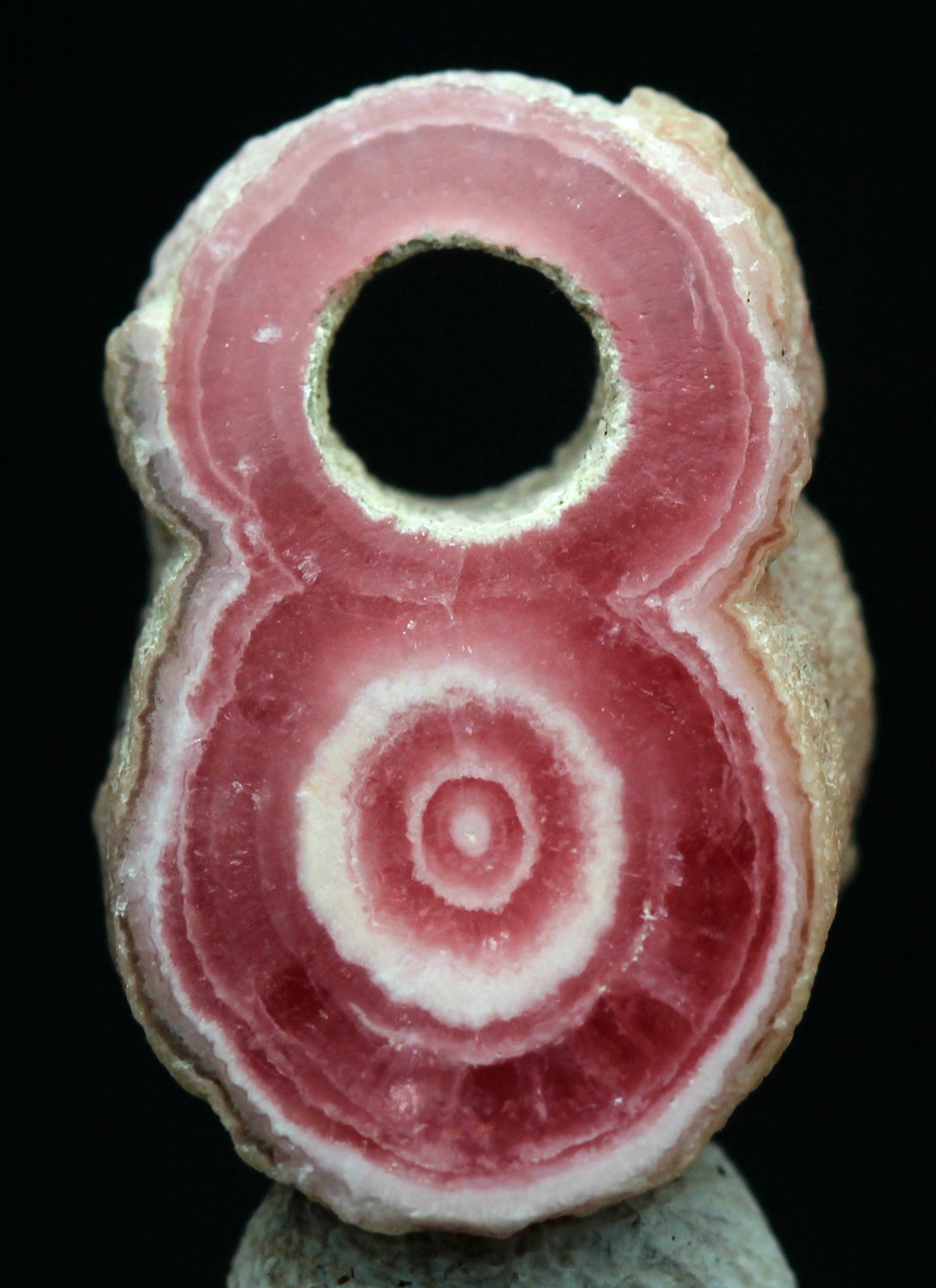 BANDED RHODOCHROSITE Mineral Specimen Stalactite Section Cave Crystal ARGENTINA