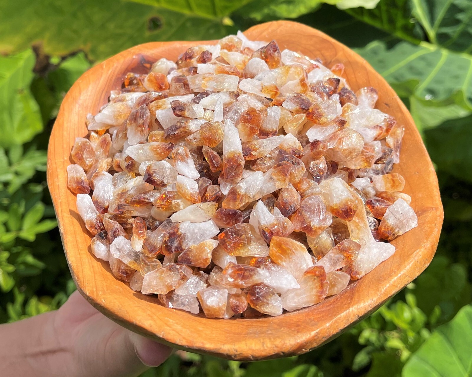 1/2 lb Bulk Citrine Points Crystal Collection in Box (‘A’ Grade Premium Citrine)