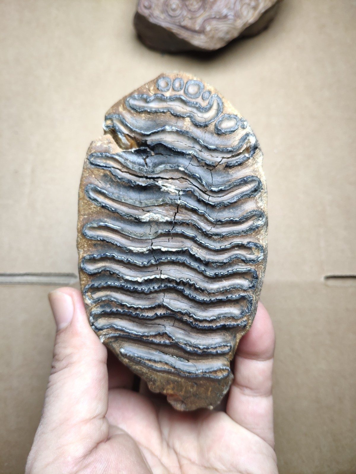 530g Beautiful Clear texture landscape stone
