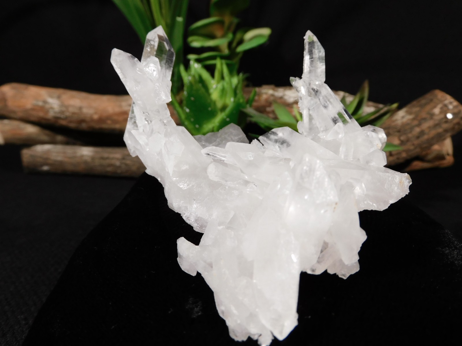 Twelve Points! TRANSLUCENT Quartz Crystal Cluster Collier Creek ARKANSAS 99.0gr