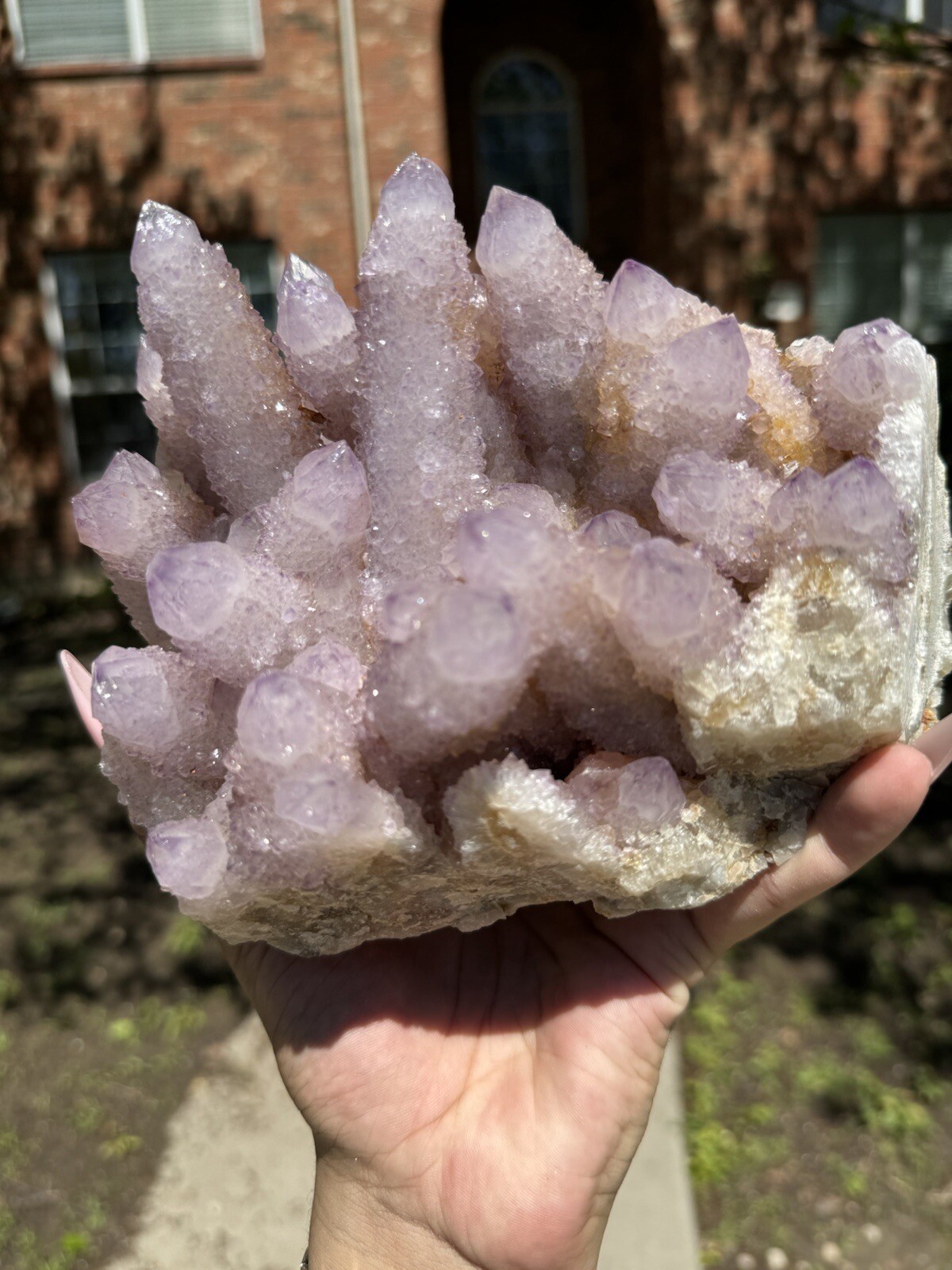 High Grade XXL (5.7lbs) Long Finger Deep Lavender Spirit Cactus Quartz cluster
