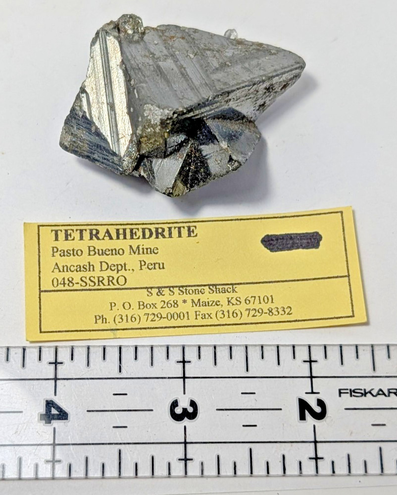 Tetrahedrite Crystal Cluster Pasto Bueno Mine Peru with Dealer Label