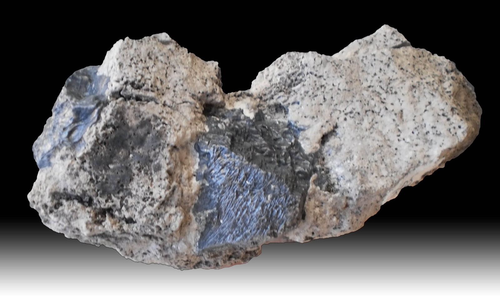 Galena from durfort France Mineral