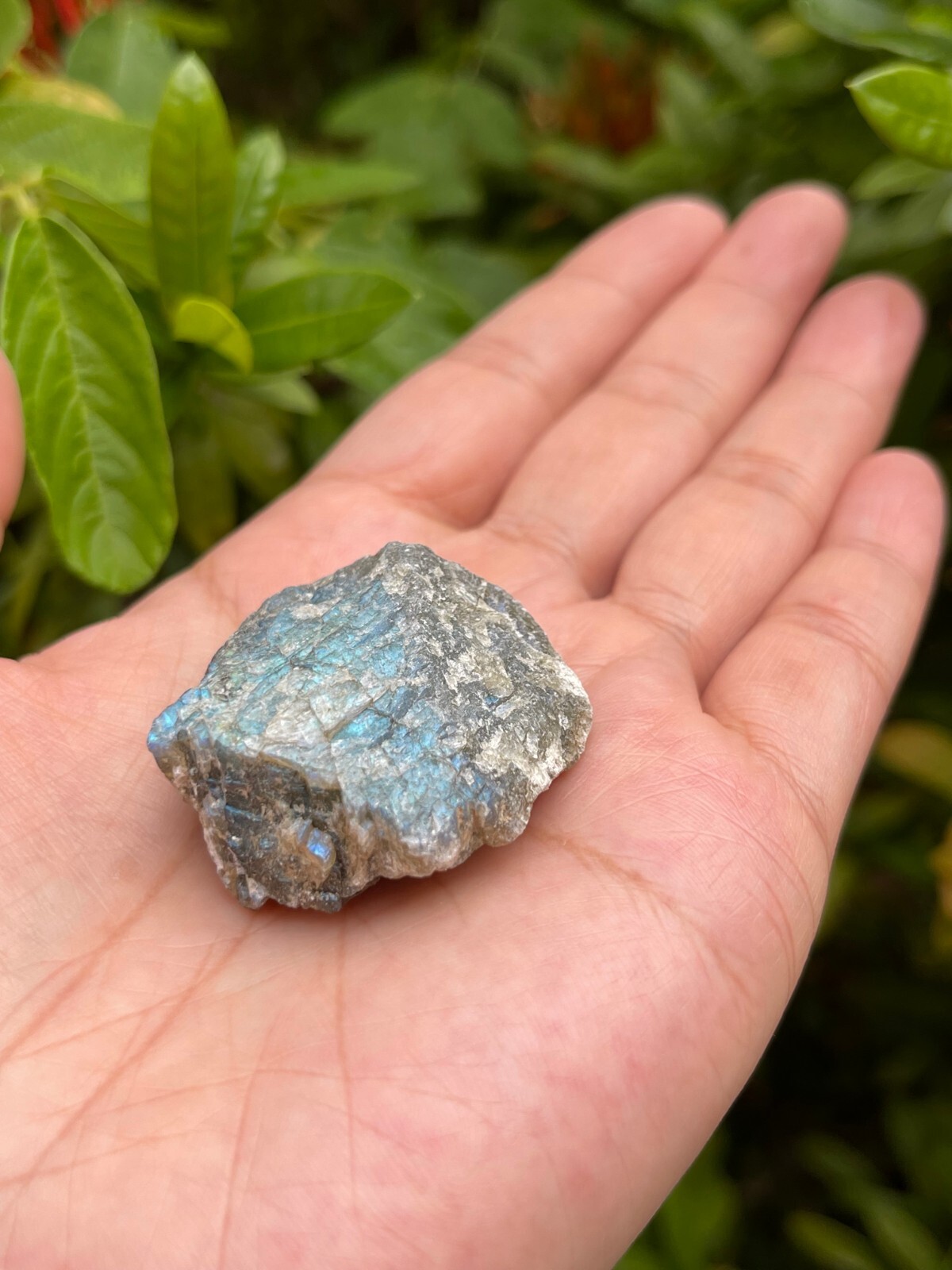 Grade A++ Labradorite Raw Natural Stone, 1″-2″ Rough Labradorite, Wholesale Lot