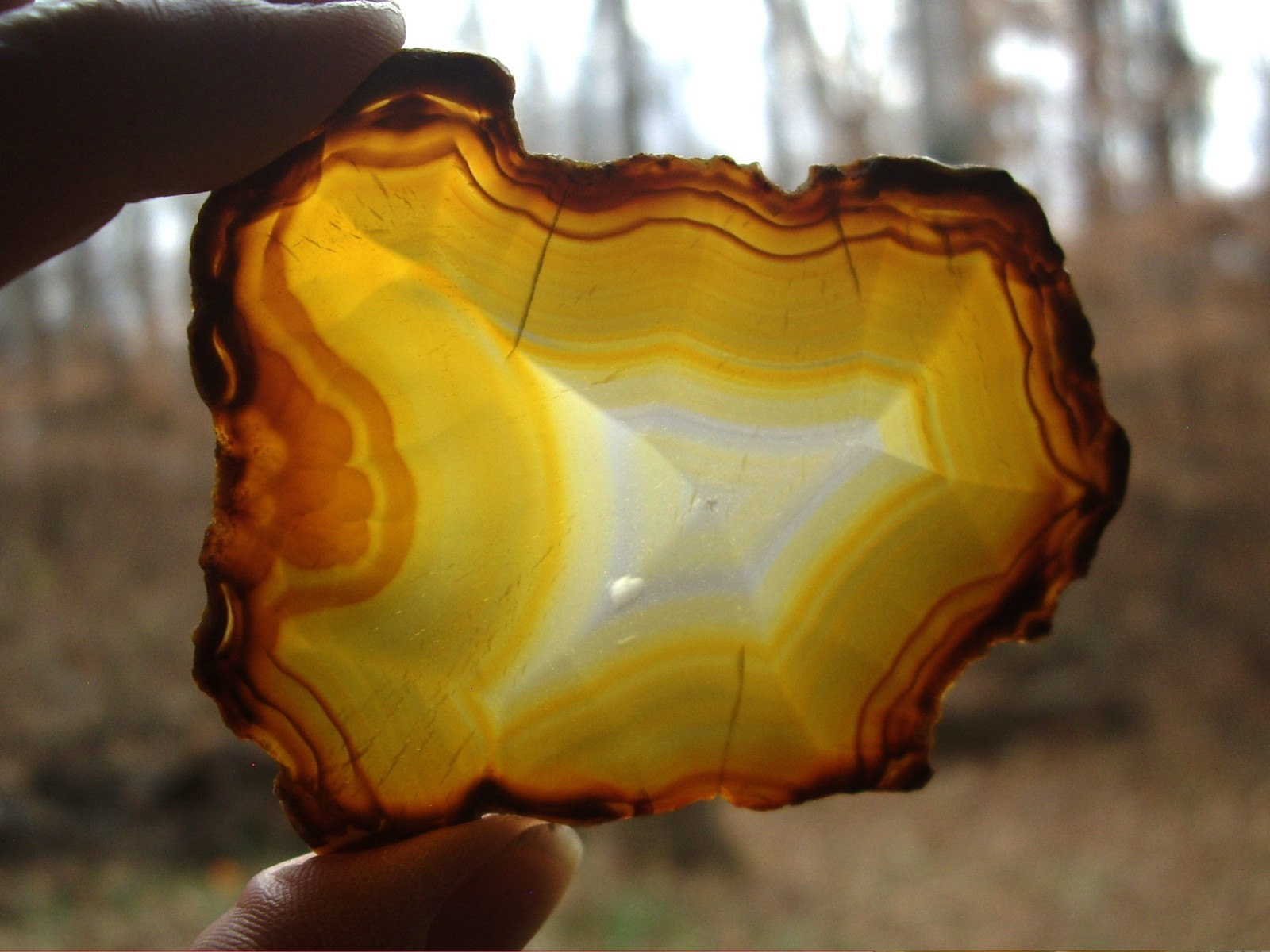 Rare Polished “Iris Agate” Slice with Backlight Color Bands from Indonesia 13.3g