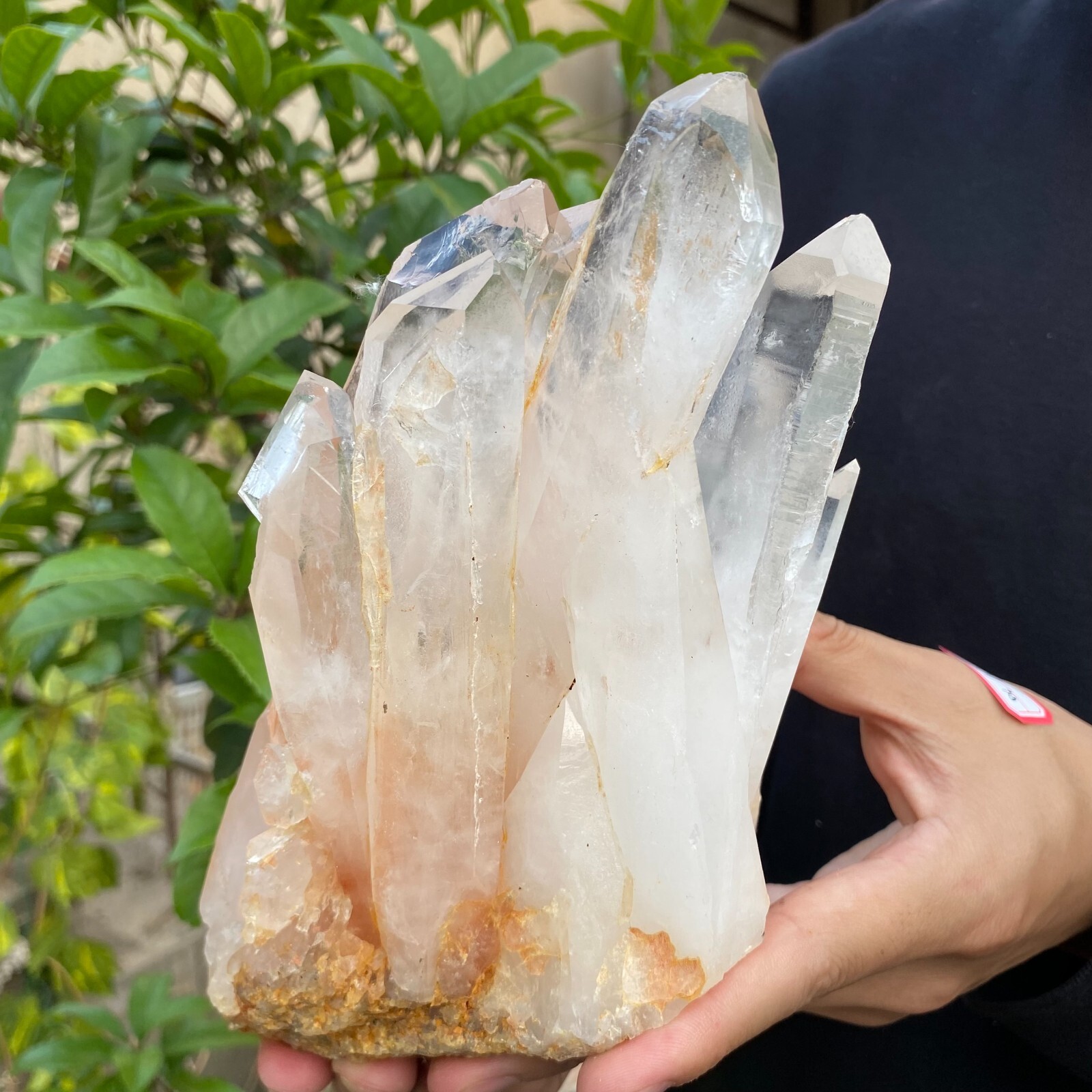 3.9lb Natural Clear White quart Crystal Cluster Raw Healing Specimen