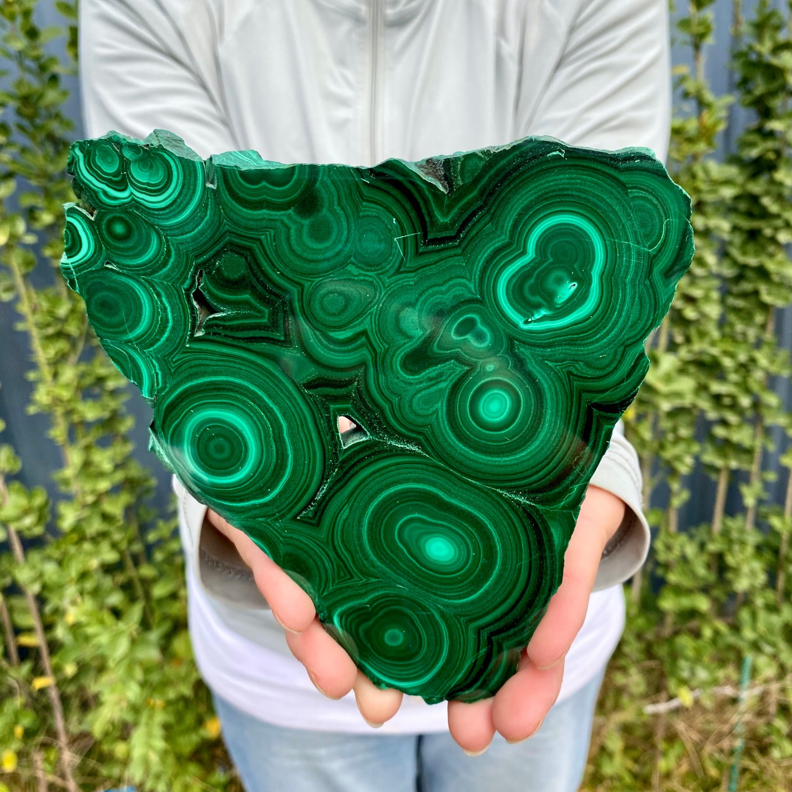 1.41LB Natural malachite slice quartz crystal luster mineral specimen