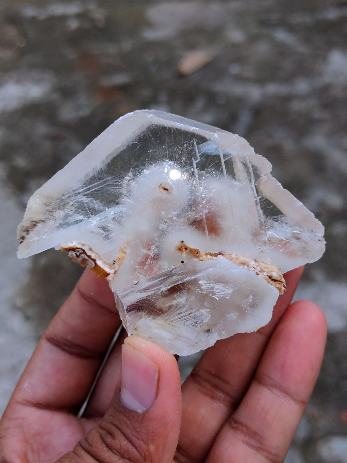 Okenite Tree 🌲 in Calcite. Phantom Calcite, Natural mineral specimen.