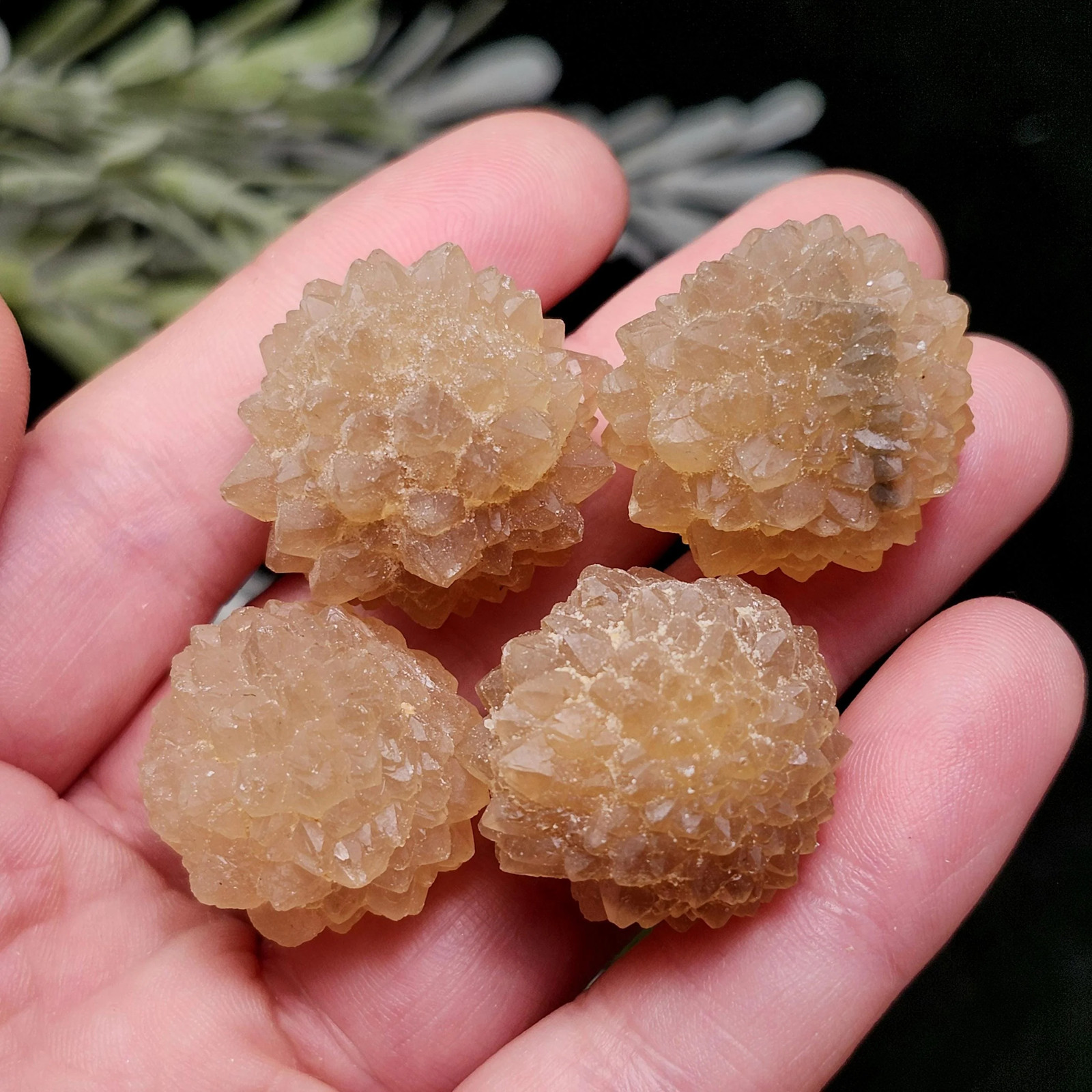 Natural Star Citrine from Morocco