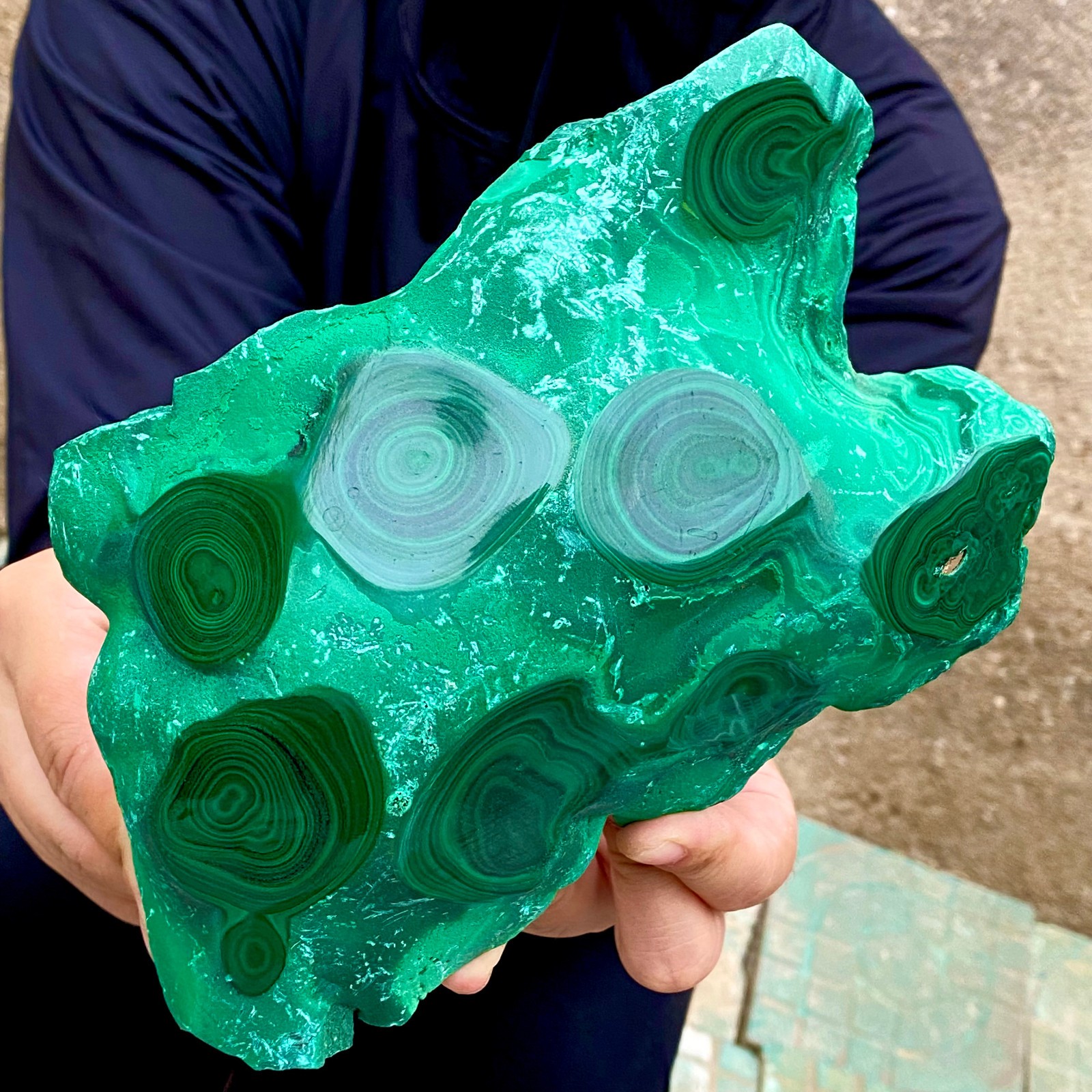 3.2LB Natural tortoise Malachite transparent cluster coarse mineral sample