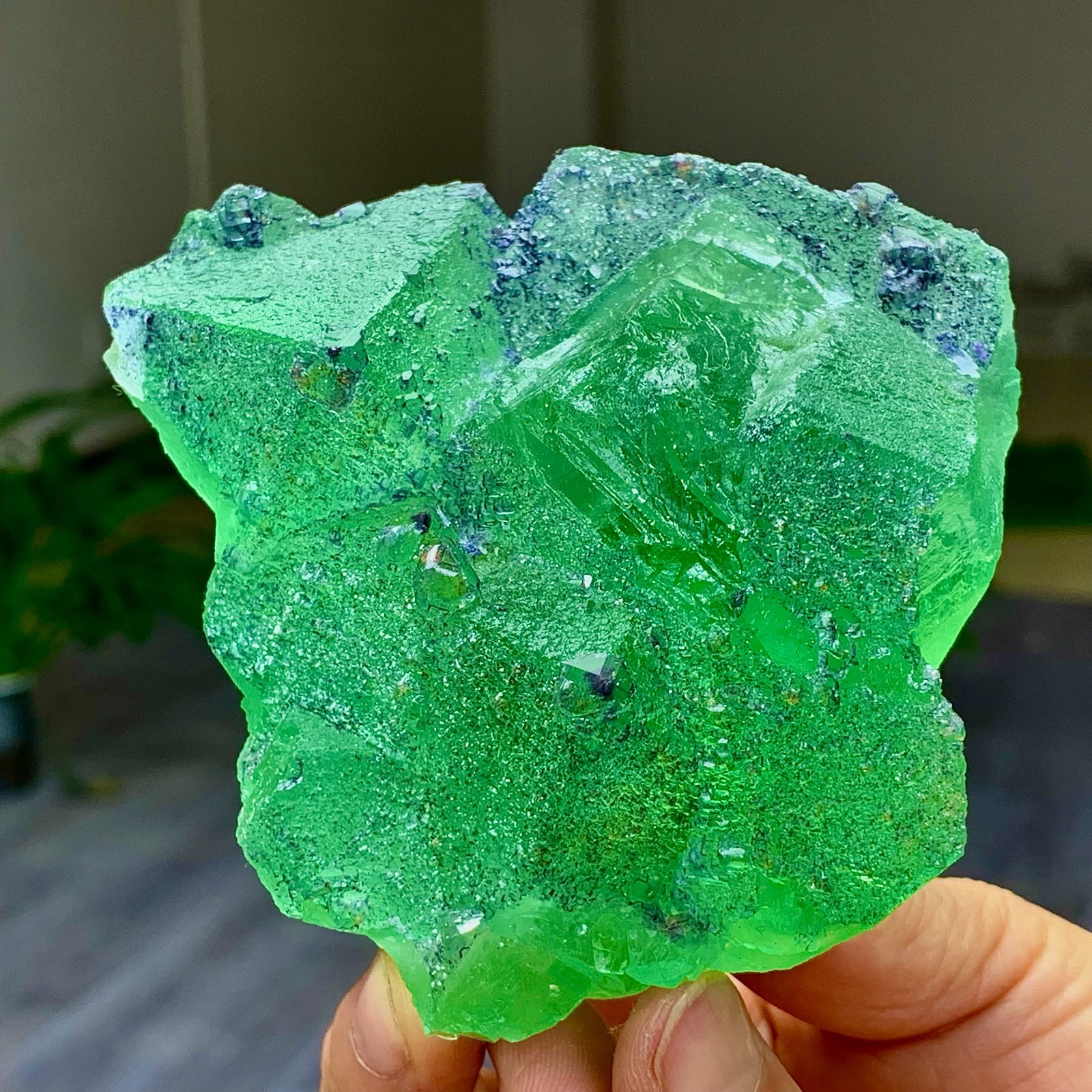 1.24LB Rare transparent green cubic Zhejiang fluorite mineral sample