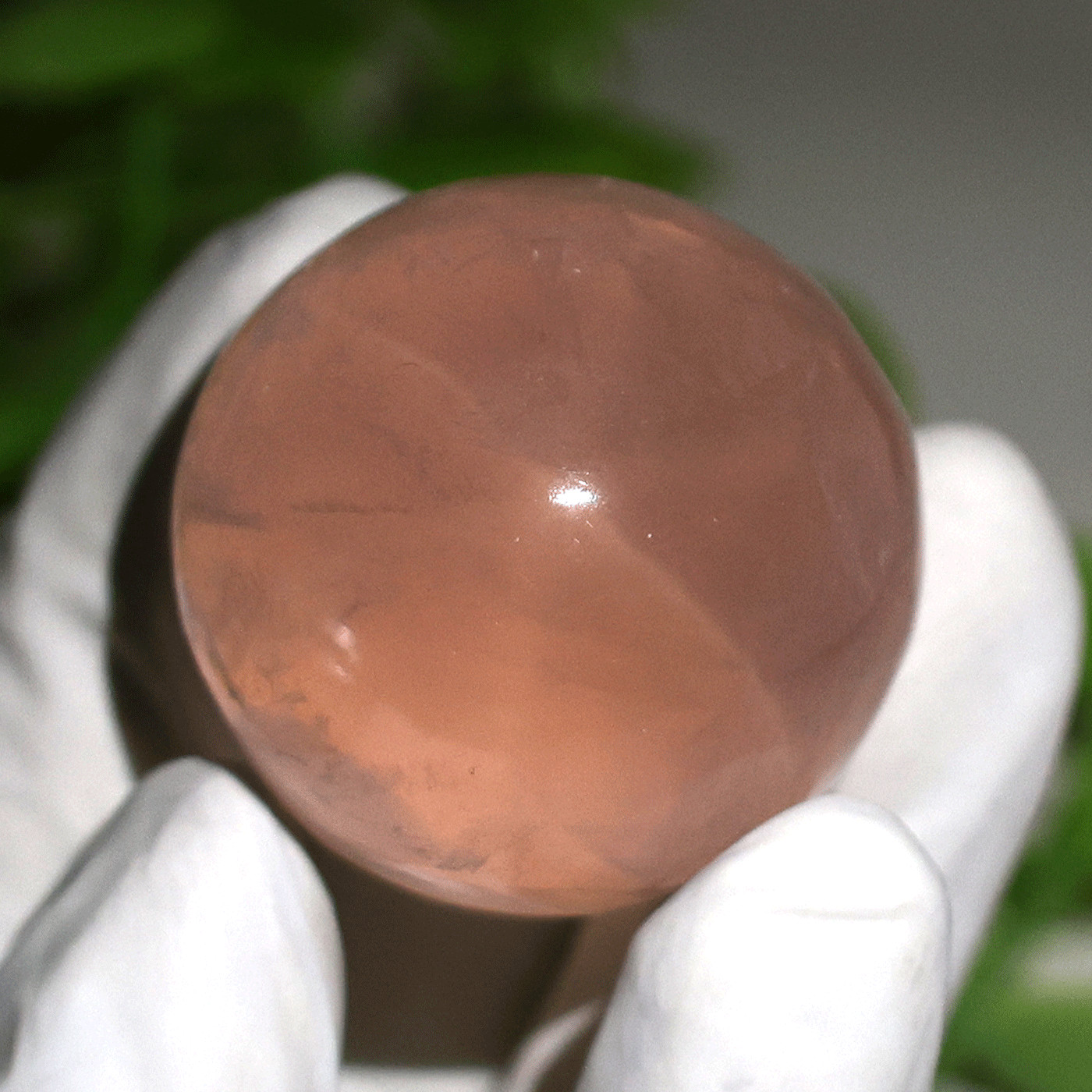 57g Gemmy Star Rose Quartz Palmstone—Celestial Love Stone— Six-Ray Star Asterism
