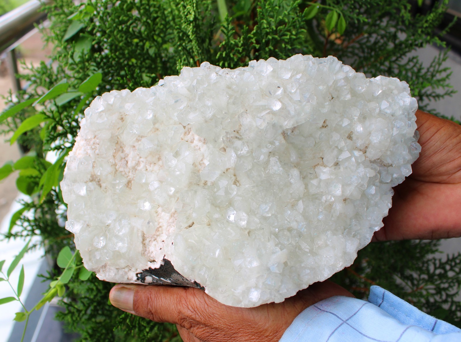 Light Green Apophyllite Crystals On Matrix Mineral Specimen