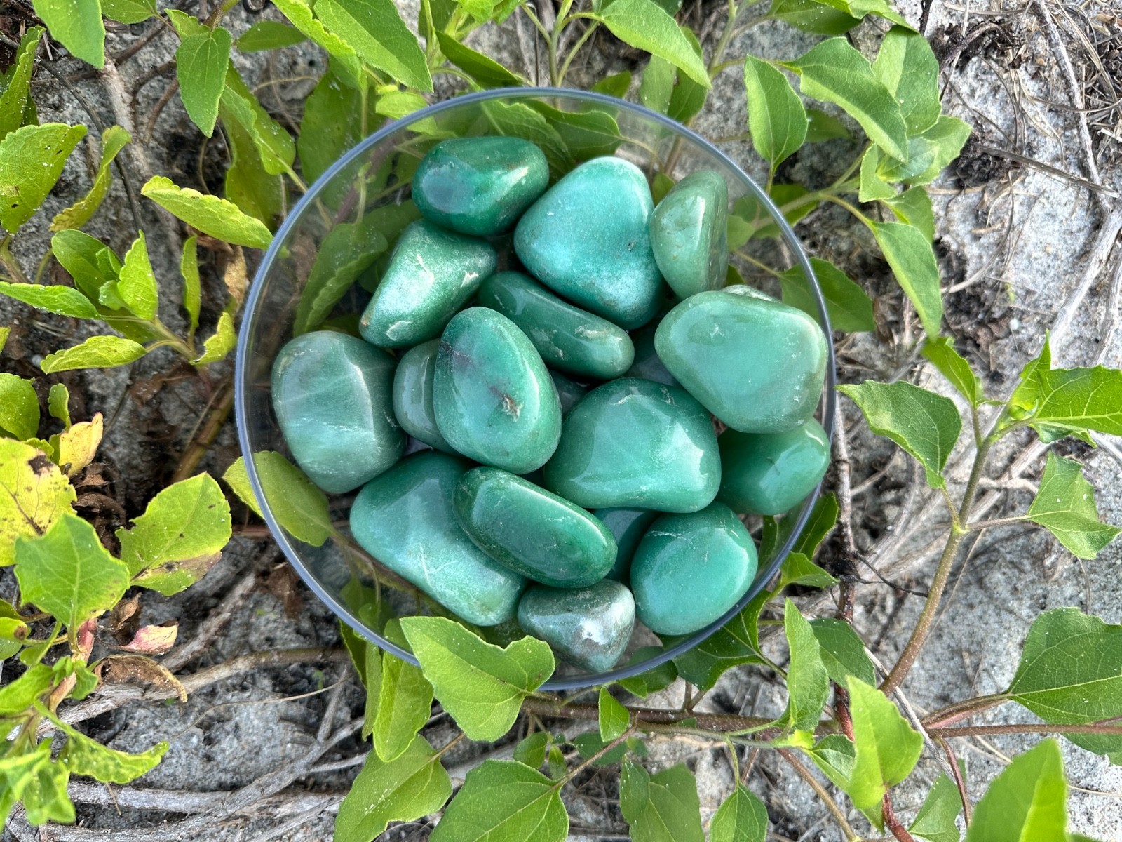 1/2 lb Green Aventurine Tumbled Stones – Bulk Polished Green Crystals Lot (8 oz)
