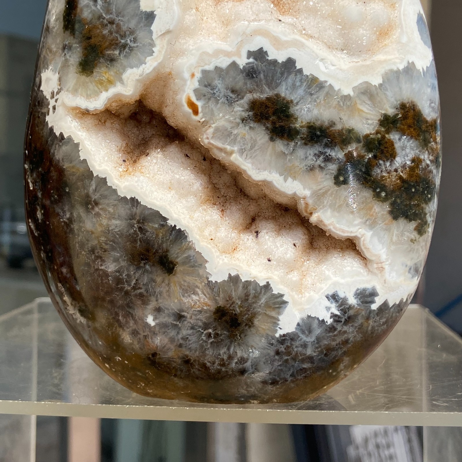 4.06LB Natural Colourful Ocean Jasper Crystal Druzy Specimen Healing