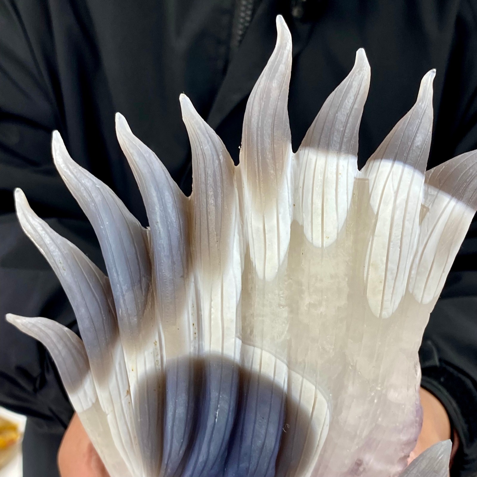 4.07LB Natural Agate Geode Hand Carved Nine-tailed Fox Quartz Crystal Decor