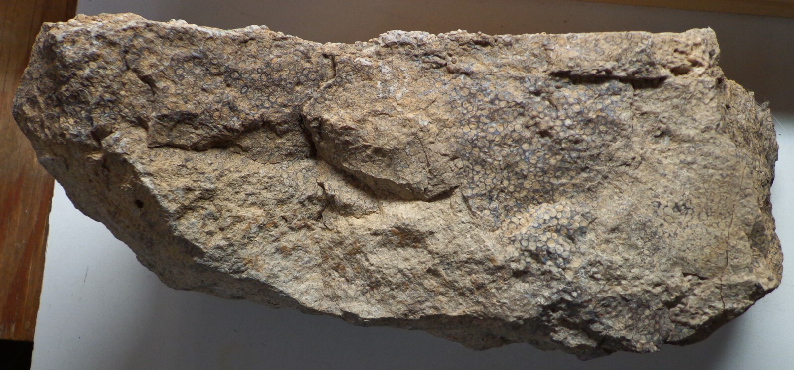WRG – Oolite rough 9 Pounds 9.7 Oz Wyoming Specimen Sand Rock