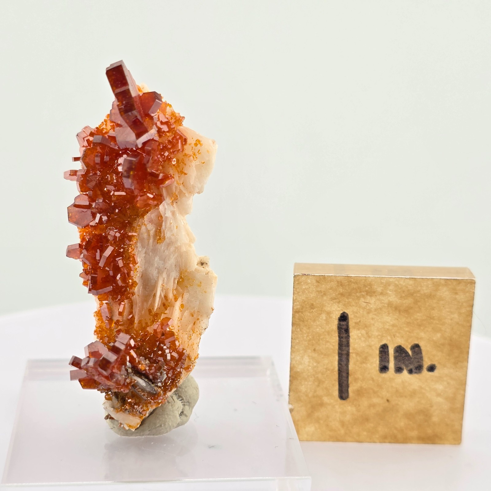 Vanadinite on Barite, Sparkly and Colorful Multi-Mineral Specimen – All Natural