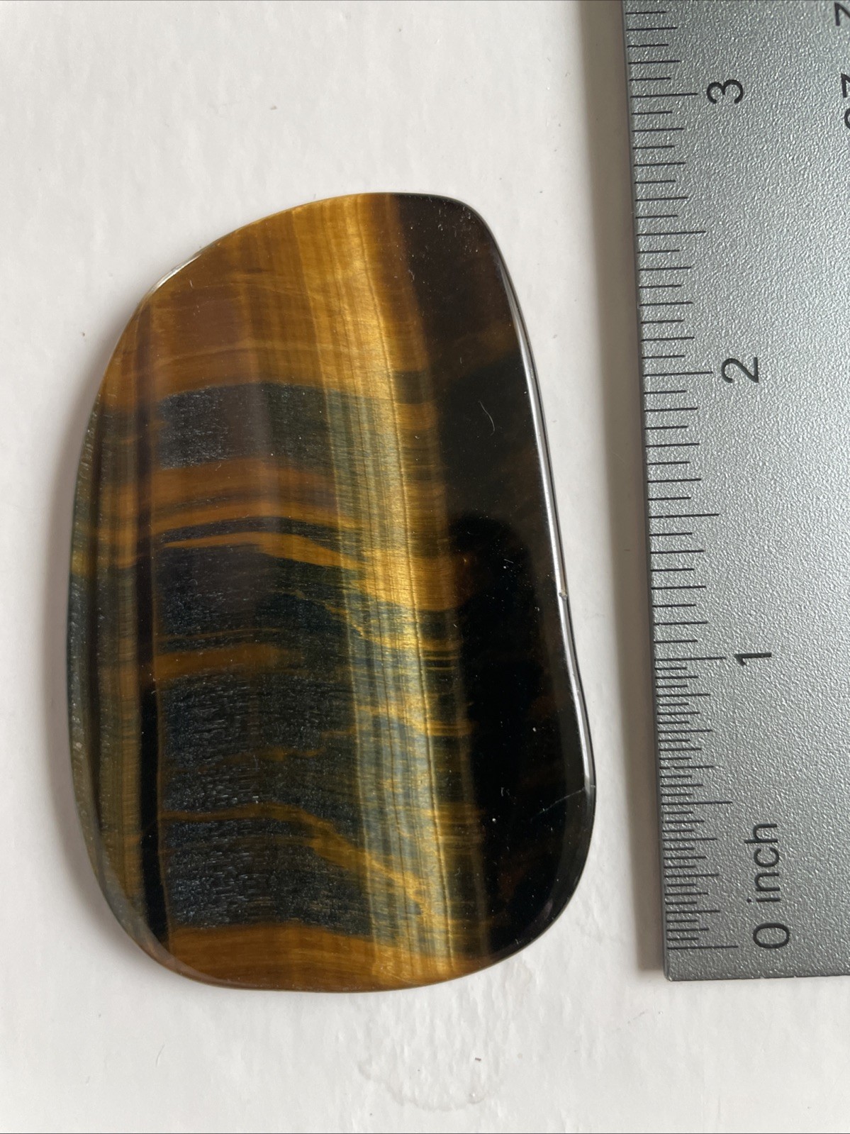 Natural Tiger’s Eye From South Africa Evolution New York City ￼
